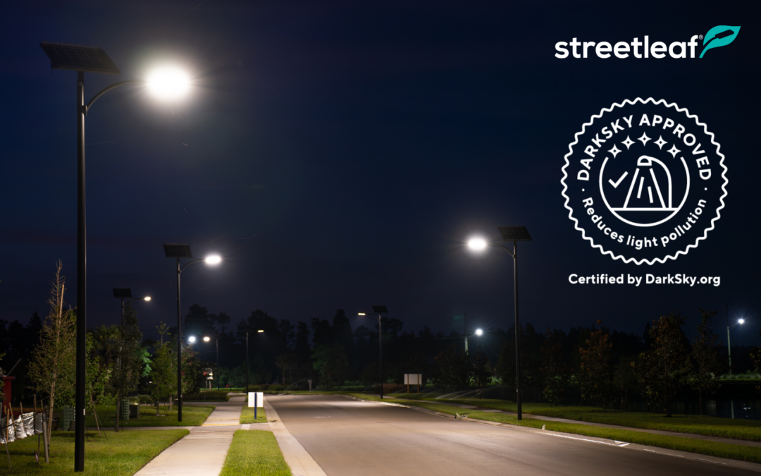 What Is Light Pollution and How Can You Help Prevent It?